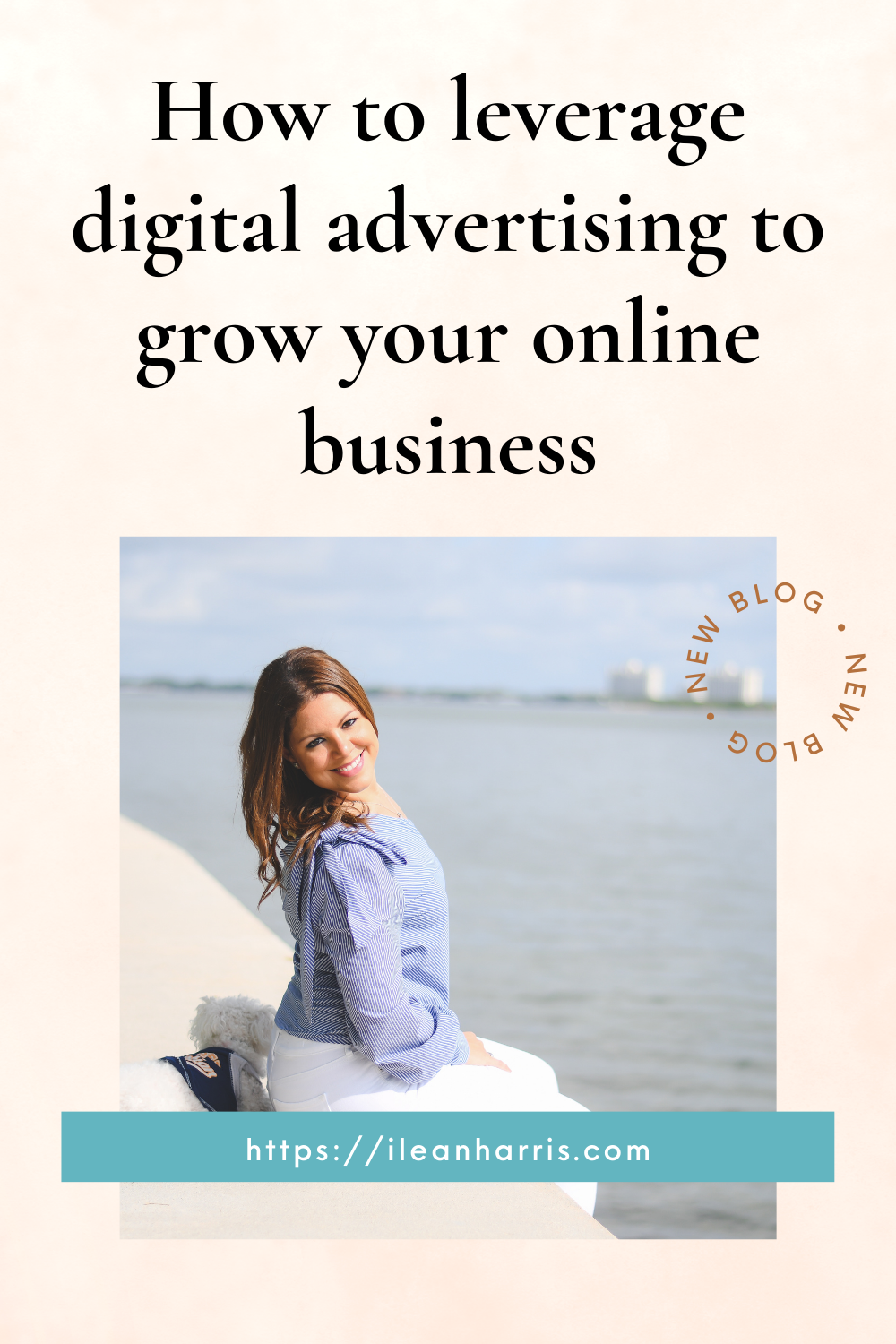 How to leverage digital advertising to grow your online business