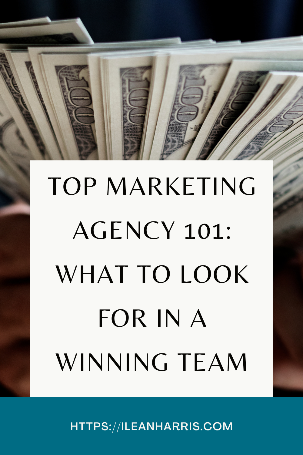 Top Marketing Agency 101: What to Look for in a Winning Team