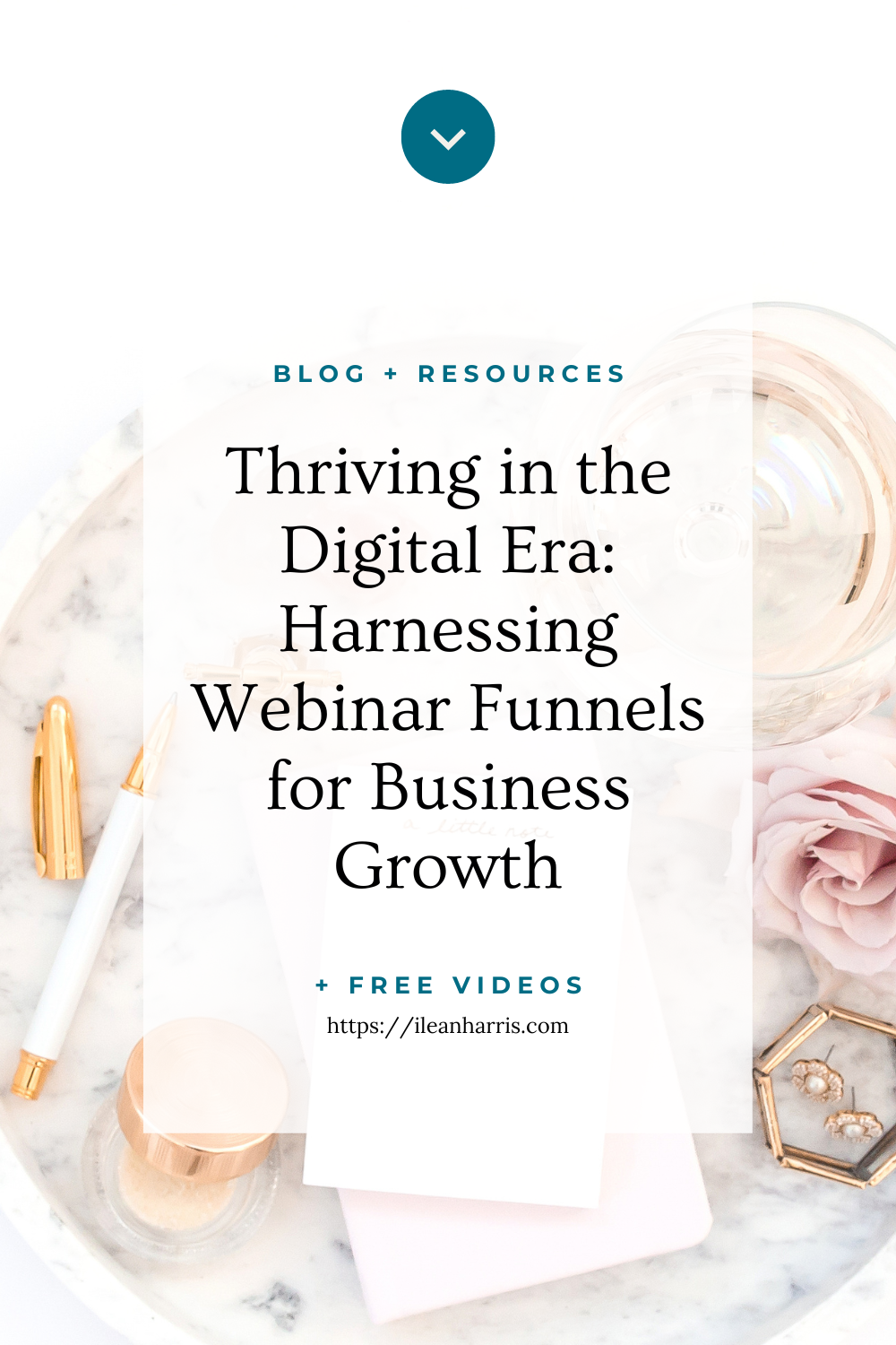 Thriving in the Digital Era: Harnessing Webinar Funnels for Business Growth