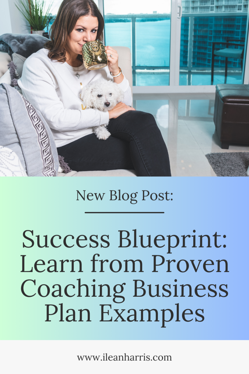 coaching business plan examples