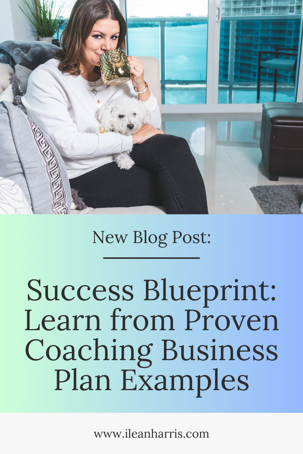 Success Blueprint: Learn from Proven Coaching Business Plan Examples